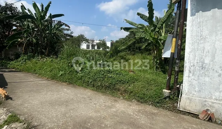 Tanah Kavling Luas Di Cibungbulang Bogor