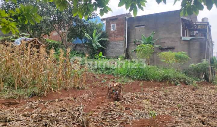 Tanah Murah Dalam Komplek Bukit Pajajaran Pasir Impun