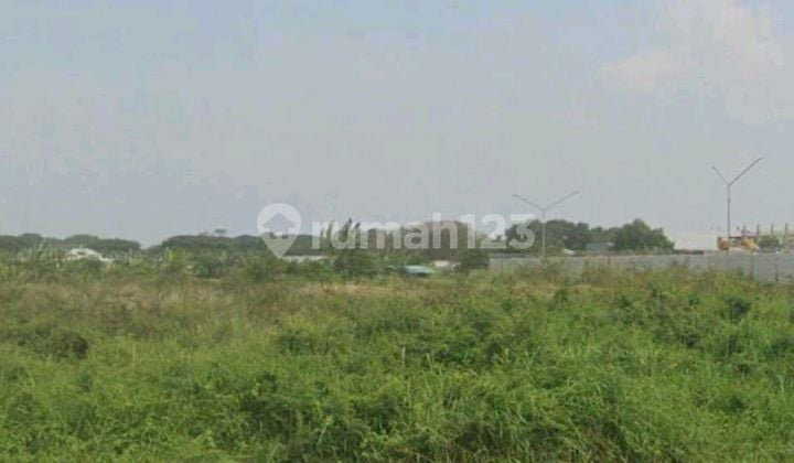 Di Sewakan Lahan Kosong Di Harapan Indah Di Sewakan Lahan Kosong Di Harapan Indah