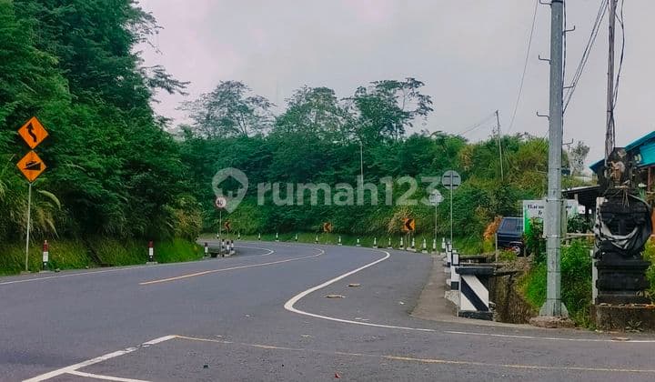 16 Are Pinggir Jalan Utama Singaraja Bedugul Bali Strategis