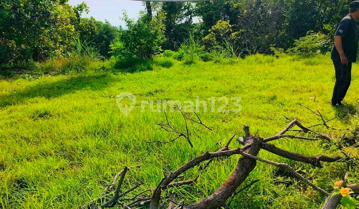 Di Jual Tanah Full Ocean View Murahhhh