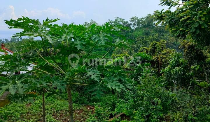Tanah view laut dan bukit di desa depeha
