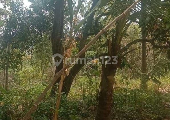 BULIAN SEA VIEW GARDEN LAND