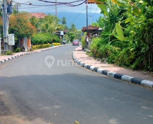 SPECIAL LAND OF CENTRAL LOVINA.5,65