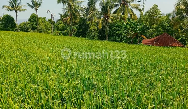 TANAH ASPEK PERUMAHAN SUPER BUC