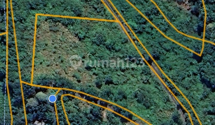 TANAH VIEW LAUT DEKAT PERENCANAAN BANDARA BULELENG