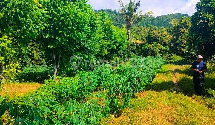Tanah Datar Prospek Bagus Cocok Invest .kapling