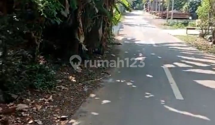 5,5 ARE DATAR KAWASAN VILLA.LOVINA