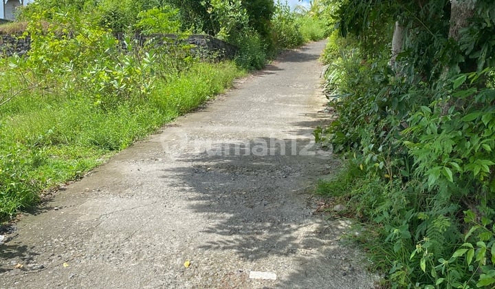 Super Buc .tanah 18 Are .dekat Pantai