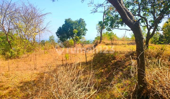 20 Are Ocean View .dekat Calon Bandara Baru Kubutambhan