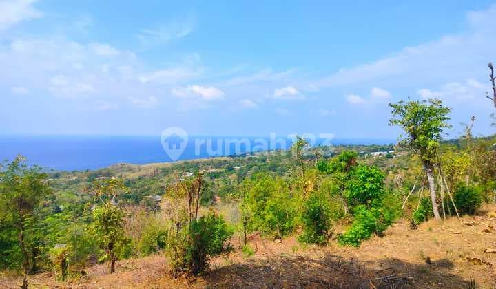 5 Hectares Full Ocean View Super Stunning! Bukti Village Kubutambahan Buleleng Bali