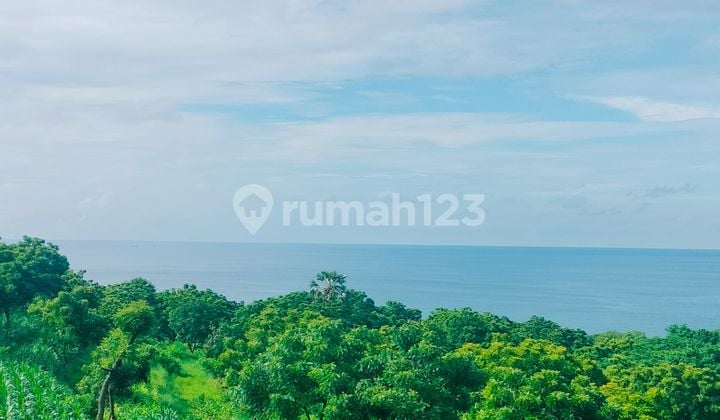 80 Are View Super! Murah Hanya 60 Juta Per Are Di Bukti Kubutambahan Buleleng Bali