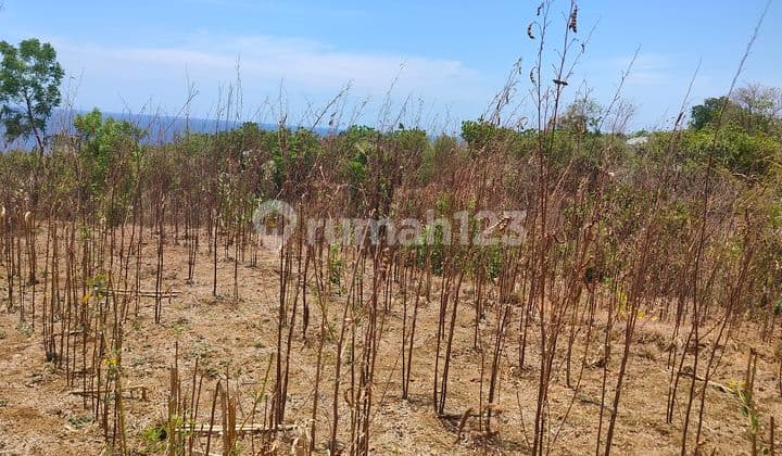 Ocean View 114 Are Desa Bukti Kubutambhan