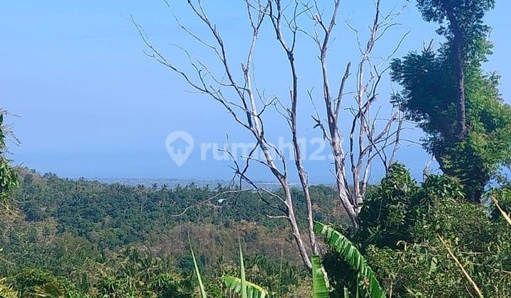 Ocean View! 1.8Ha Tunjung Kubutambahan Village Near New Airport Candidate