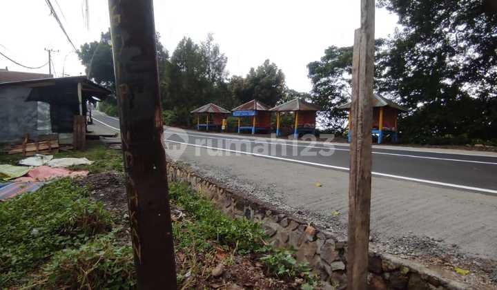 Pink Zone 4,5 Are SHM Pinggir Jalan Raya Utama Wanagiri Buleleng Bali