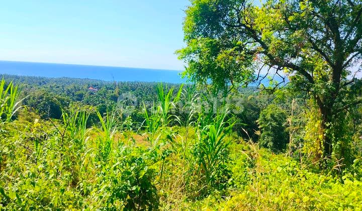 Ocean View Bukti Kubutambhan Close New Airport