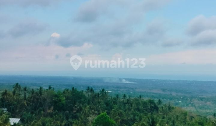 50 House Bonus! Super Ocean View Kubutambahan Buleleng Bali