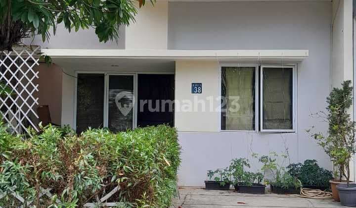 For Sale and For Rent - Serpong Lagoon Aquatic