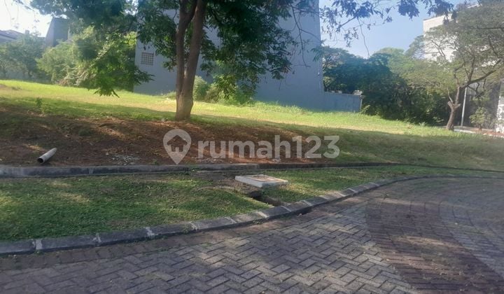 RARE AND SCARCE PLOTS PIK
