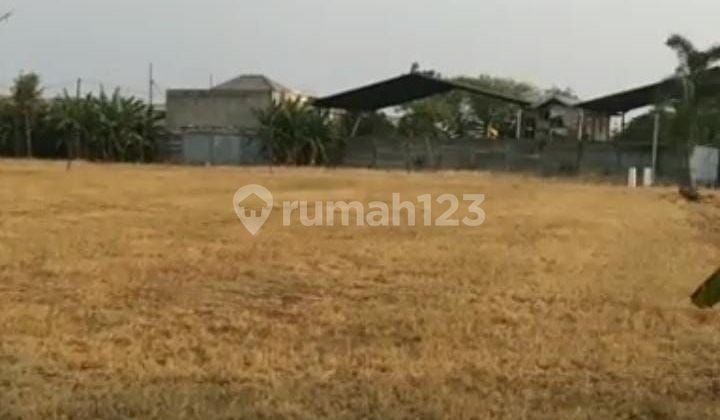 Rare commercial plot Citra