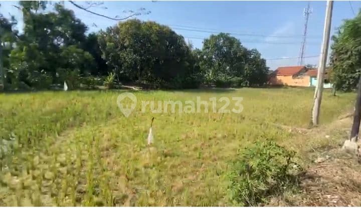 Tanah Sawah + Kebun Mangga Lokasi Jalan Provinsi Bandung Cirebon