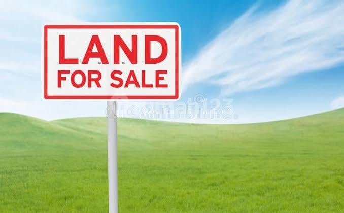 Suitable Plot for PADEL COURT Highly Profitable Location ARAYA Suitable Plot for PADEL COURT Highly Profitable Location ARAYA