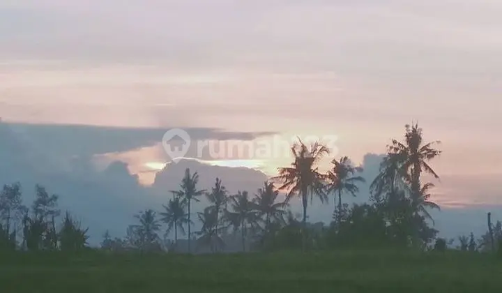 Cheap Land Parcels in Munggu Village, Bali, Near Seseh and Canggu Beaches