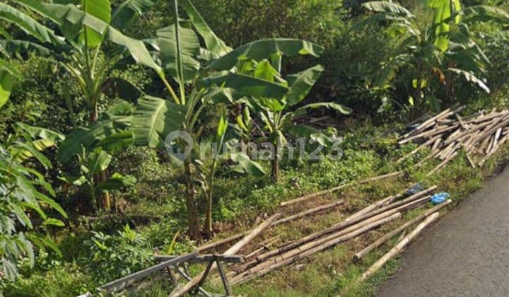 Rare Canggu Bali Plot Cheap Ready to Build