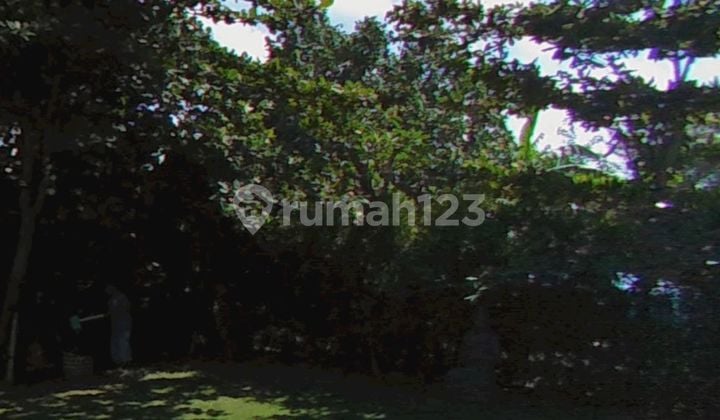 Small Lot For Sale in Canggu Bali Area Ready To Build