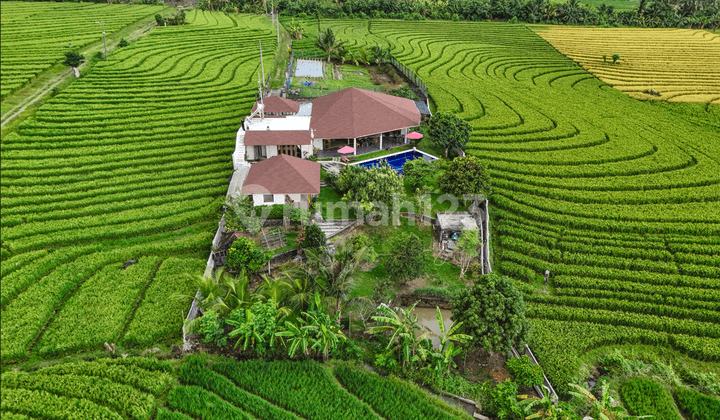 3-Bedroom Villa with Stunning Rice Field and Ocean Views in Tabanan