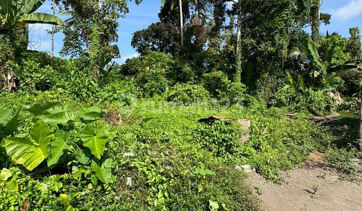 Tanah 1060 m2 Strategis di Lingkungan Hotel Kedewatan Ubud