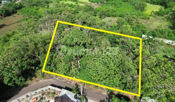 Land 1980m2 in the Premium Area Batu Manik Uluwatu