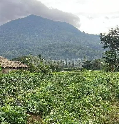 Land for Sale, Strategic Location, Tangerang, Banten