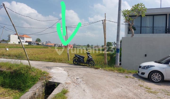 Tanah Luas 3080 M2 Di Raya Munggu - Canggu