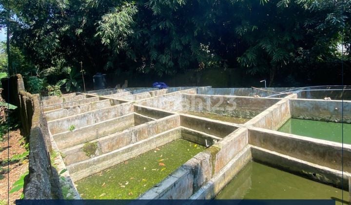 Dijual Murah Lahan Budidaya Atau Usaha di Purwakarta