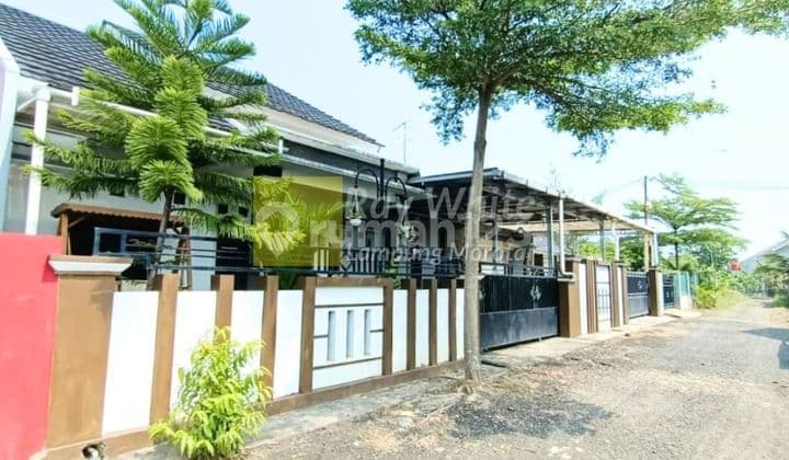 Rumah Mewah Lokasi Natar
