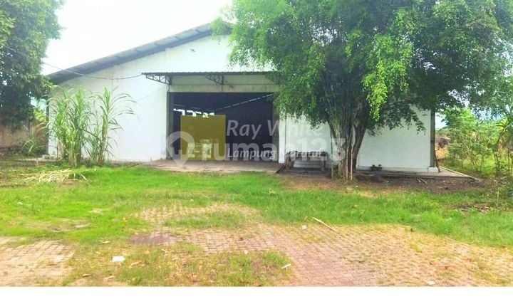 Tanah dan Bangunan Jalan Protokol Pelabuhan Panjang