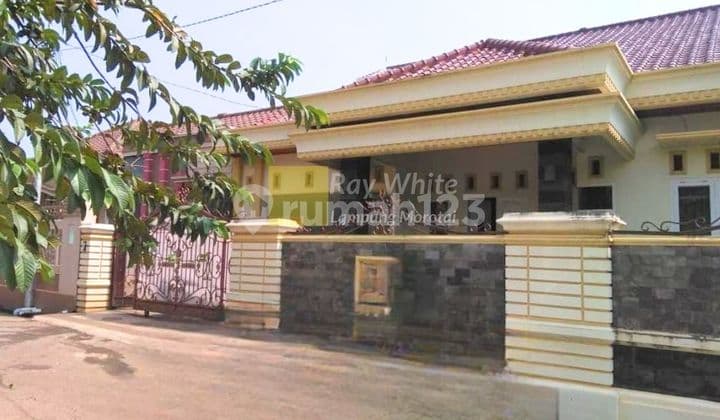 Peaceful Luxury House