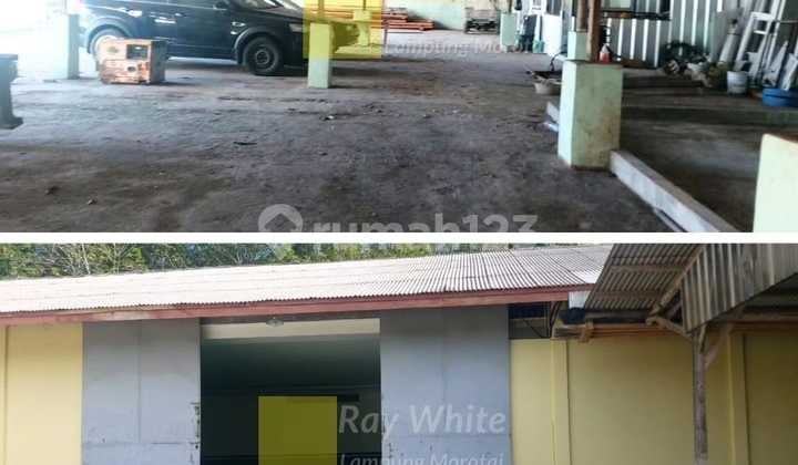 Gudang dan kantor di Jl A. Yani pesawaran