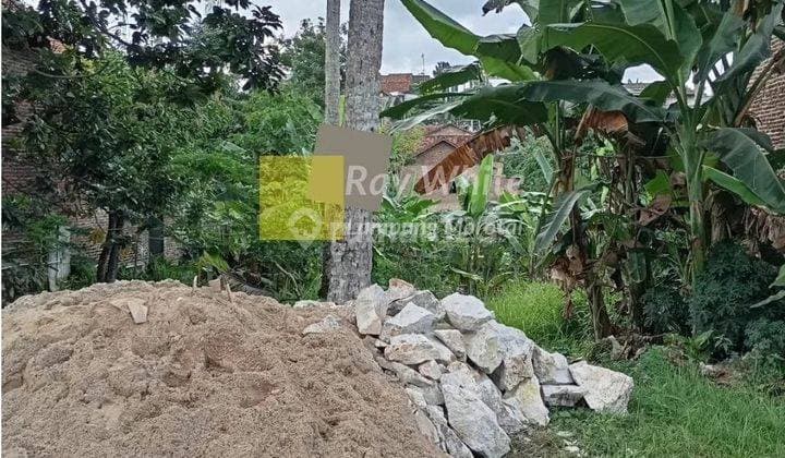 Diual Tanah di Beringin Raya Kemiling