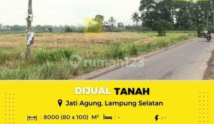 Dijual tanah di jati agung lamsel Dijual tanah di jati agung lamsel