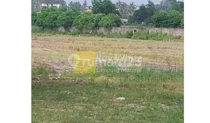 Land for sale in Sukarame