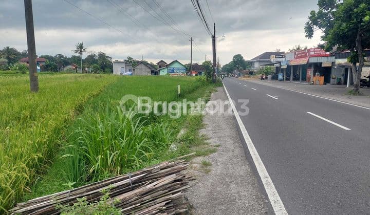 Tanah Sawah Strategis di Jalan Raya Selomartani - Cangkringan Harga Terbaik di Purwomartani, Sleman