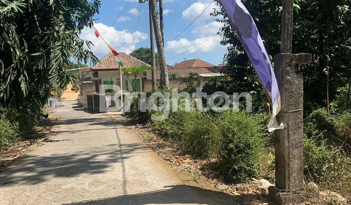 TANAH DATAR SIAP BANGUN, LOKASI STRATEGIS DI PUNDONG II TIRTOADI. LUAS 1231 M², BISA DIBAGI SESUAI KEBUTUHAN. DEKAT DENGAN BERBAGAI FASILITAS.