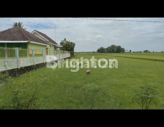 TANAH DI PINGGIR JL. NASIONAL III PURWOREJO, COCOK UNTUK GUDANG/TEMPAT USAHA