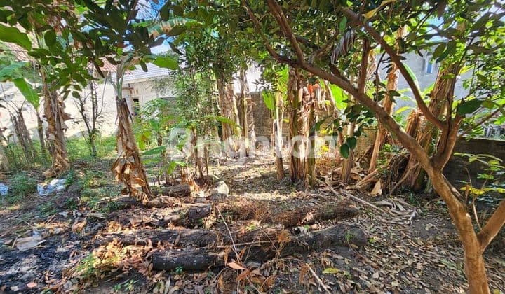 Land for Sale in Rejowinangun, Kotagede 4.5 million/meter