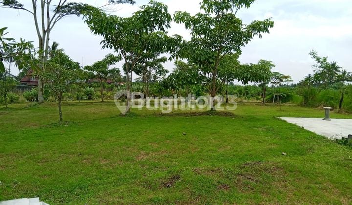TANAH CANTIK VIEW GUNUNG MERAPI DI PAKEM SLEMAN YOGYAKARTA