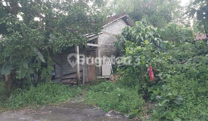 Tanah 264 m2 SHM Condong Catur, Sleman