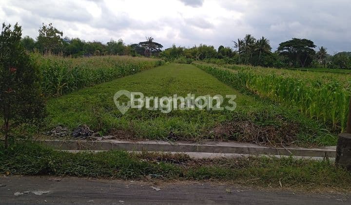 Tanah Strategis 1510 m² Dekat Kampus UMY Bantul