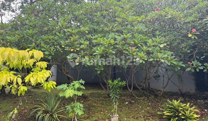 Dijual Kavling di Dalam Cluster yang Berlokasi di Bintaro Tangerang Selatan